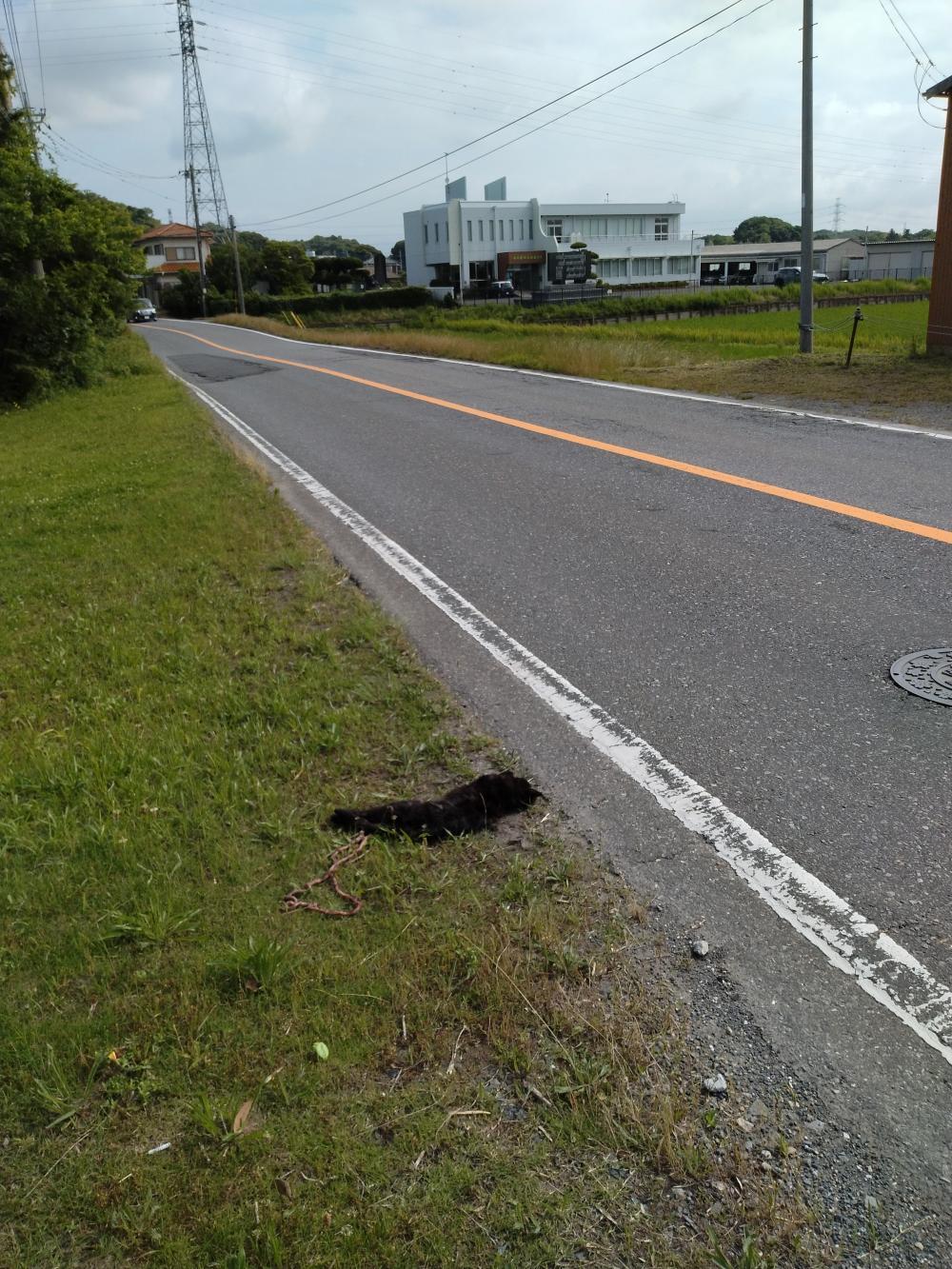 現場の写真1:道路の異常(道路の陥没 、側溝の破損など)