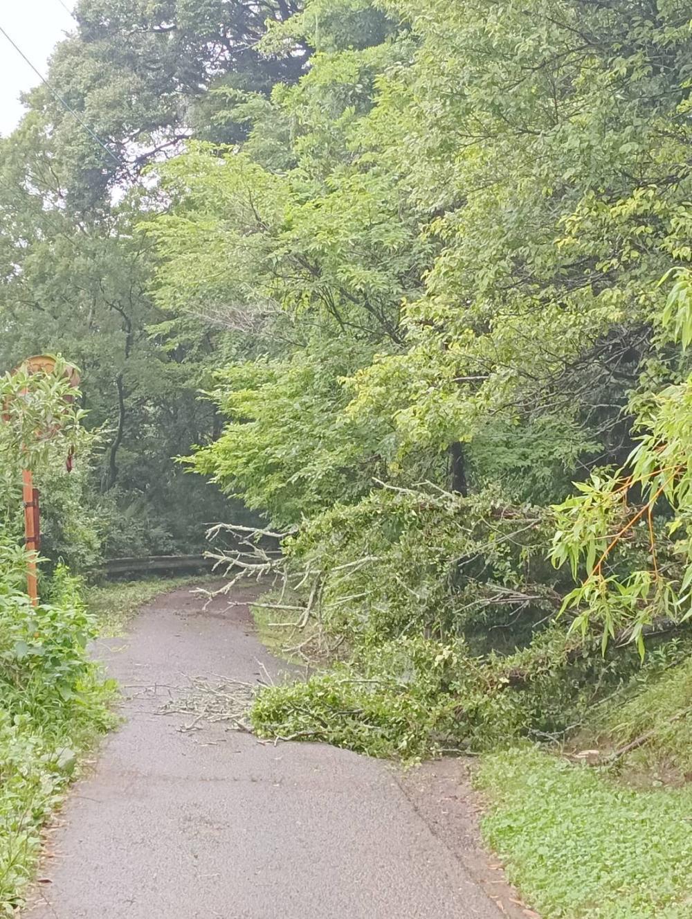 現場の写真1:道路の異常(道路の陥没 、側溝の破損など)