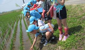 園外保育(みのり幼稚園)