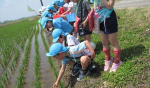 園外保育（みのり幼稚園）