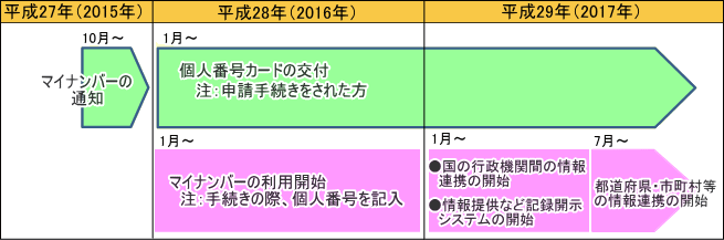 スケジュール