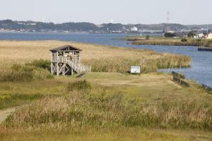 「妙岐ノ鼻」浮島地区2