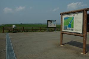 「妙岐ノ鼻」浮島地区1