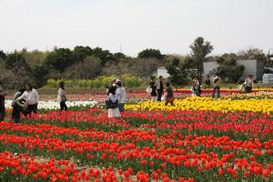 ふるさと納税（和田公園）