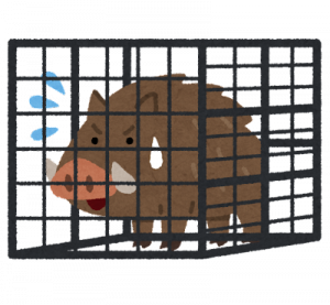 いのしし