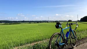 自転車　田んぼ