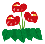 花6