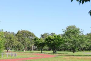 和田公園03遊歩道