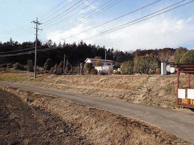 公道から現地確認