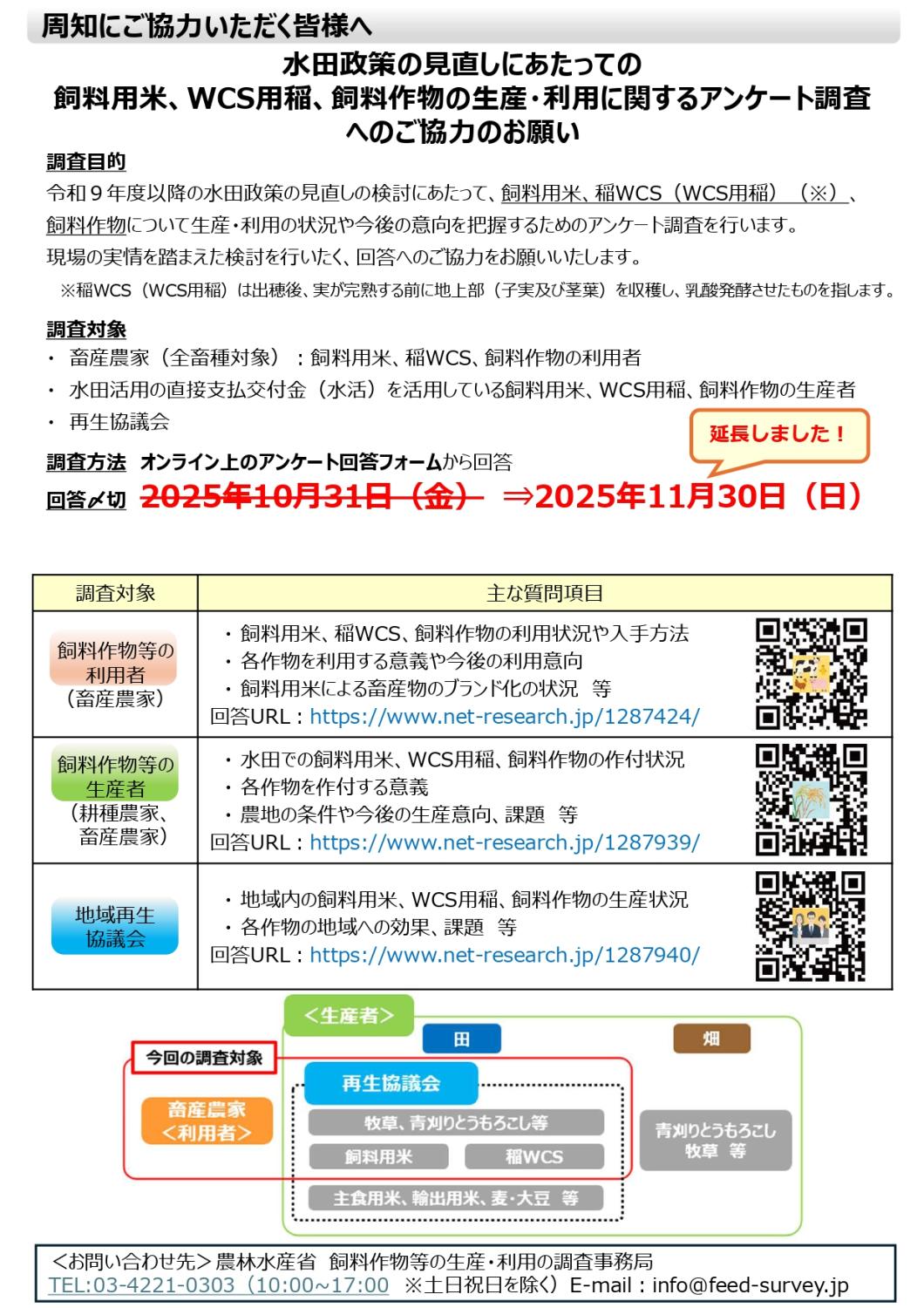 11/30まで　アンケート