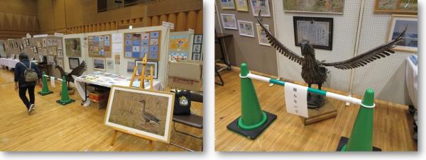 【あ生セ】R7文化祭一般展示(1)