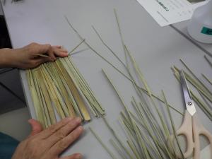 マコモ作業
