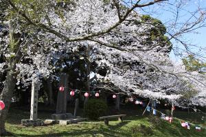 阿波崎城址