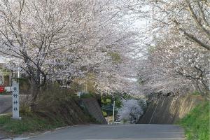 熊野神社