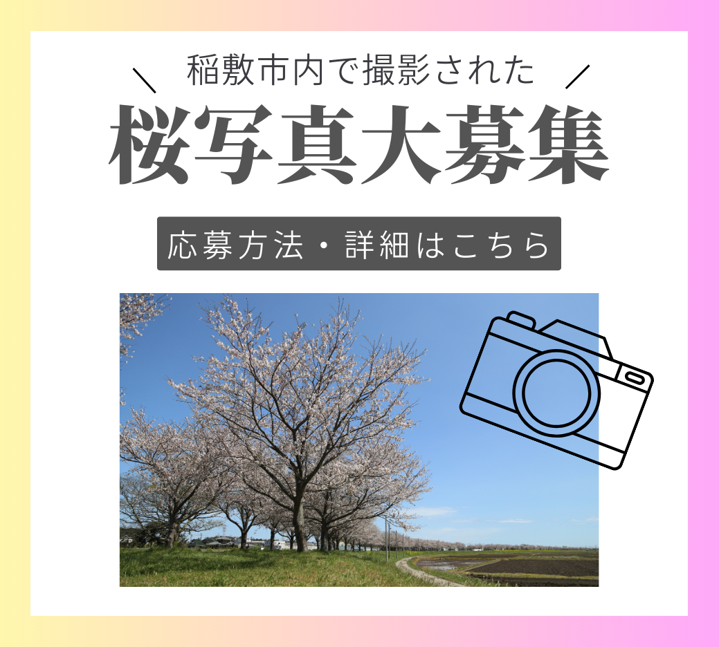 トピックス：桜の写真大募集！