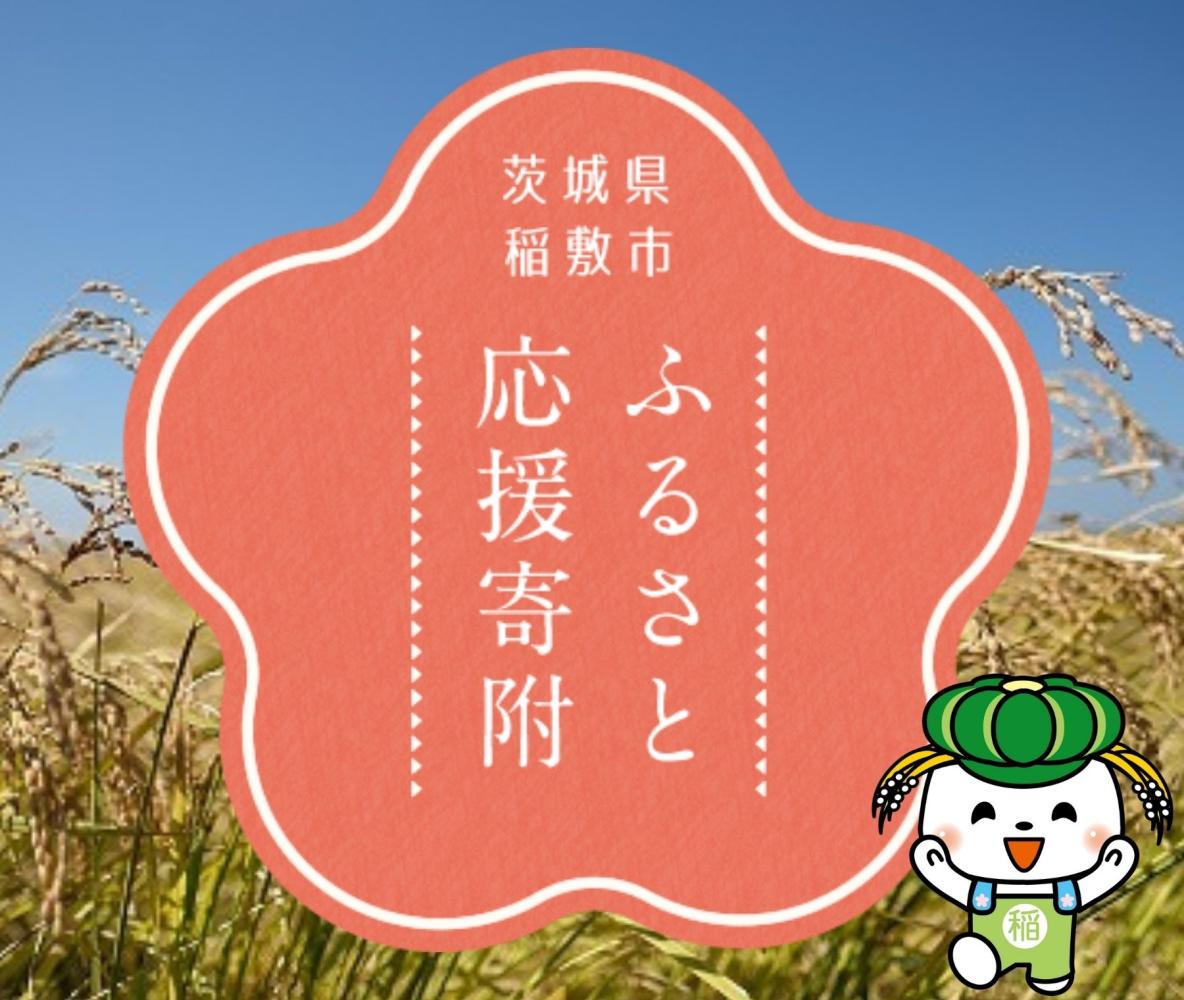 ピックアップ：ふるさと応援寄附