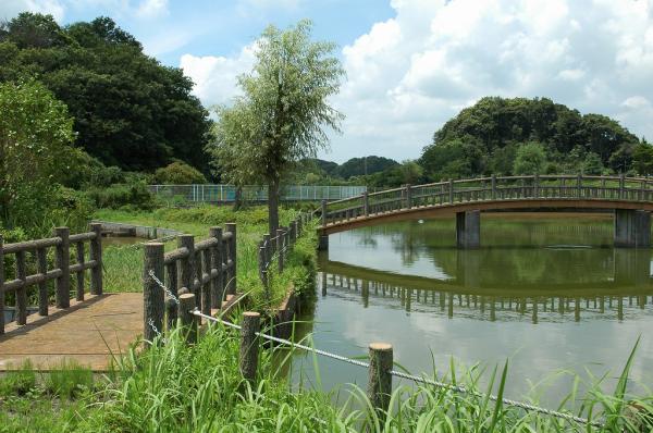三次親水公園１