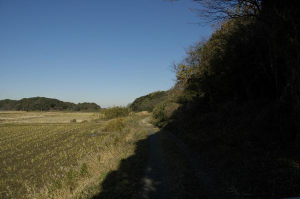 浮島県道新川江戸崎線霞ヶ浦側農道１