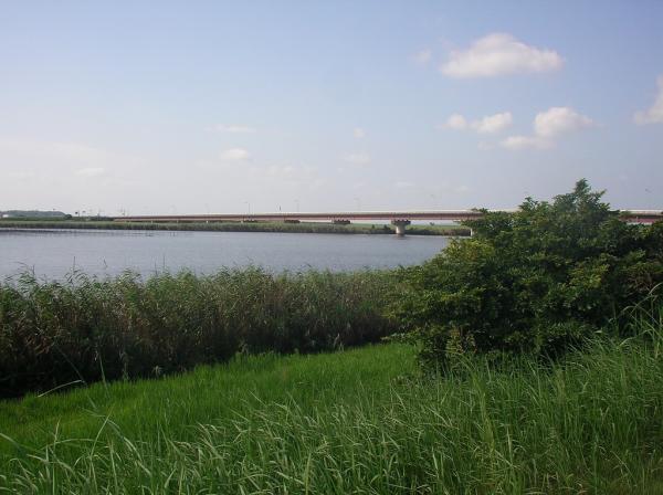新利根川河口付近１