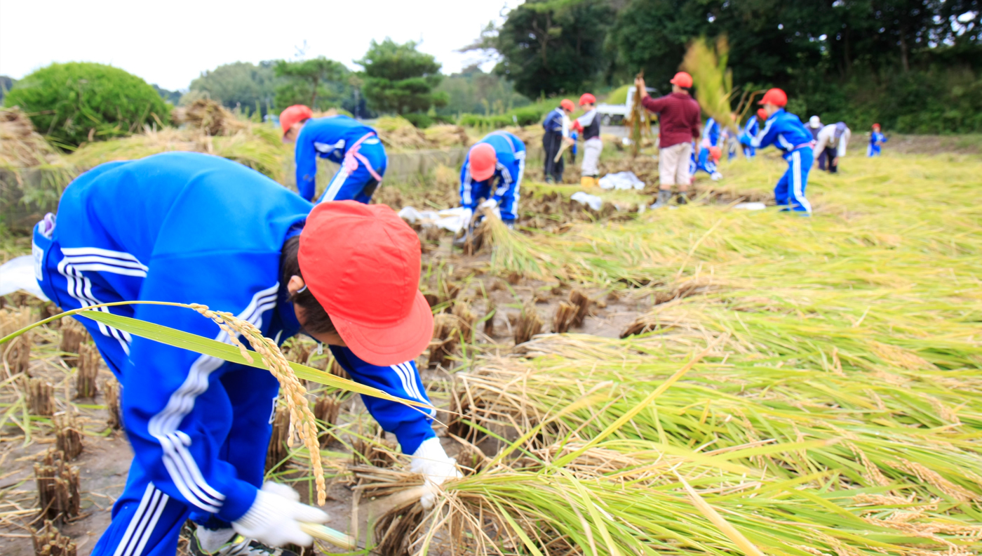 ふるさと応援寄附 | 稲敷市公式ホームページ